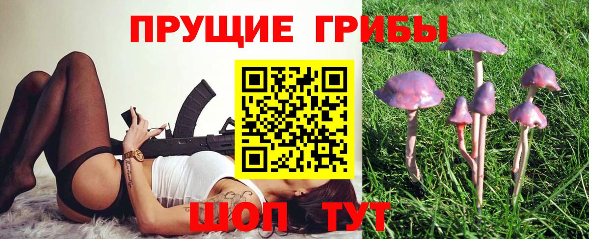 Галлюциногенные грибы MAGIC MUSHROOMS Кингисепп