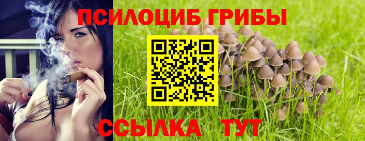 Кингисепп  Галлюциногенные грибы Cubensis  Псилоцибиновые грибы мухоморы  Вход с VPN 